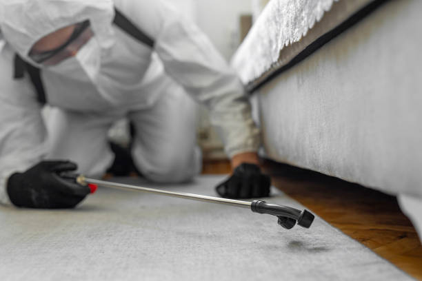 Professional Bed Bug Control technician working in Portola Valley, CA