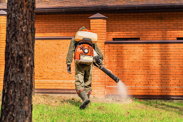 Trusted Cockroach Control service in Portola Valley, CA - Nex Pest Control